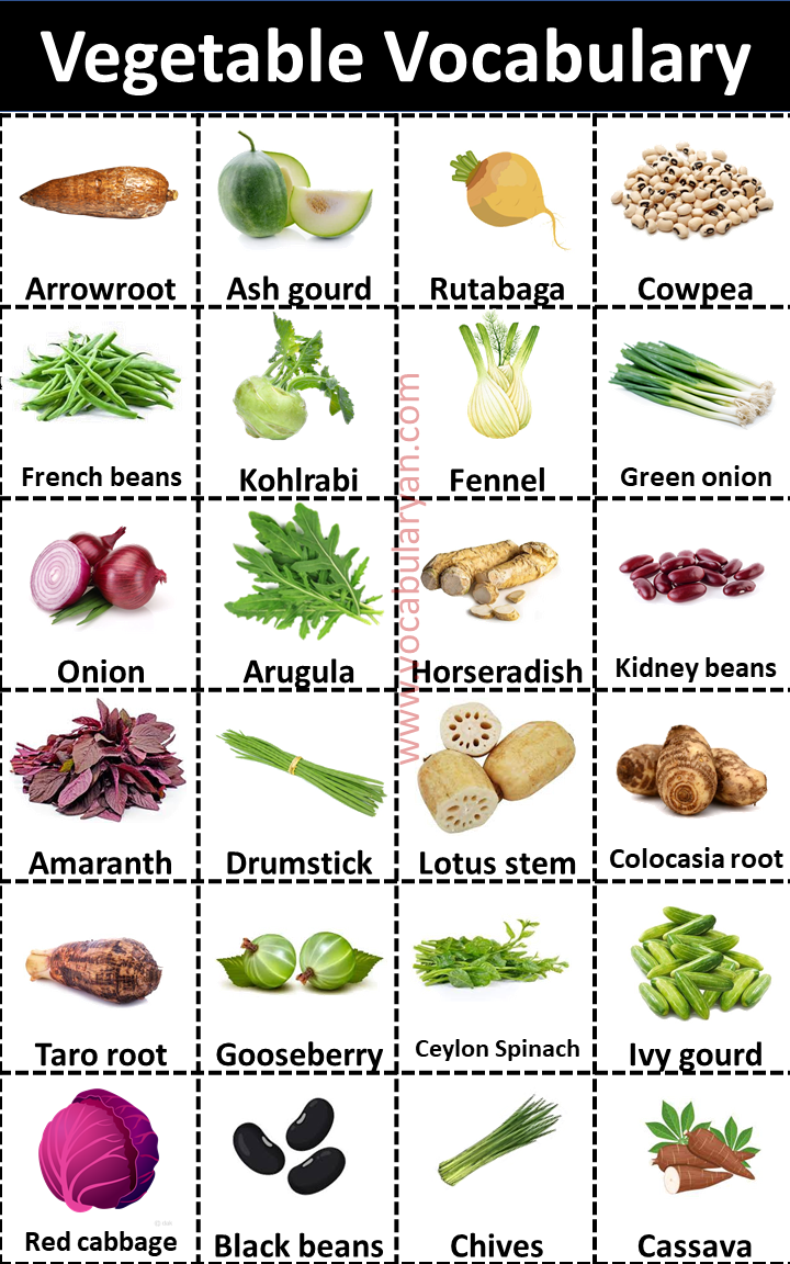 100+ Vegetable Names with Picture VocabularyAN