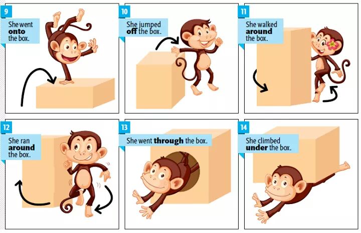 Prepositions Visual Expression Vocabulary Home