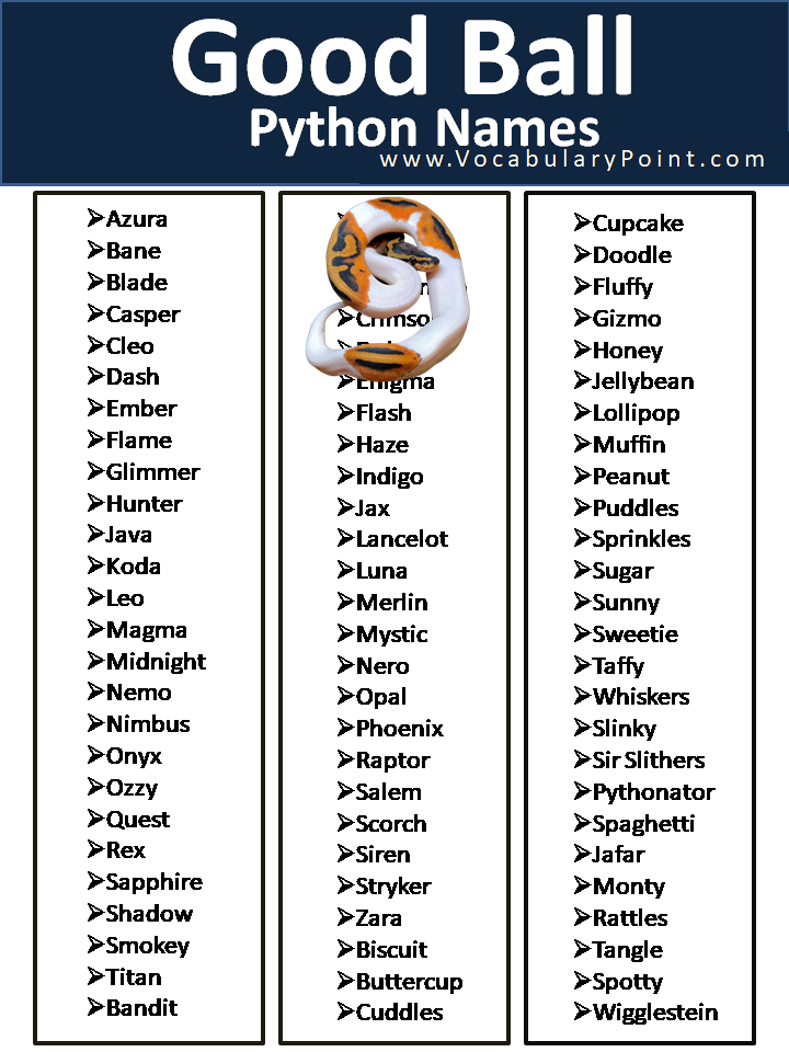 250+ Cool Ball Python Names Vocabulary Point