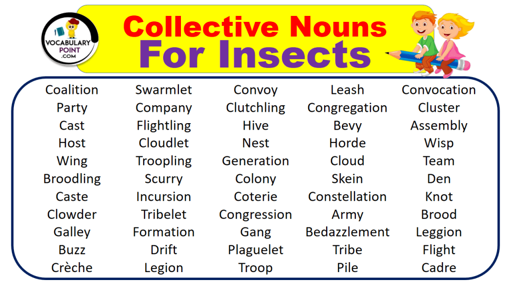 Collective Nouns For Insects (With Meaning and Examples) Vocabulary Point