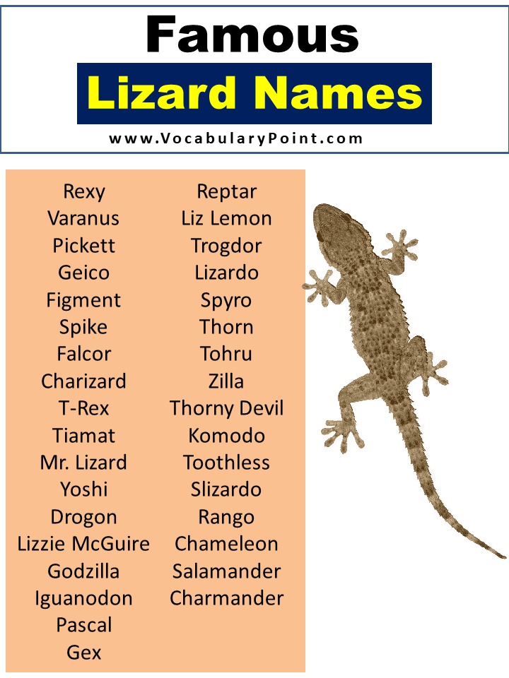 350+ Top Lizard Names (Best, Cute, Funny And Pet) Vocabulary Point