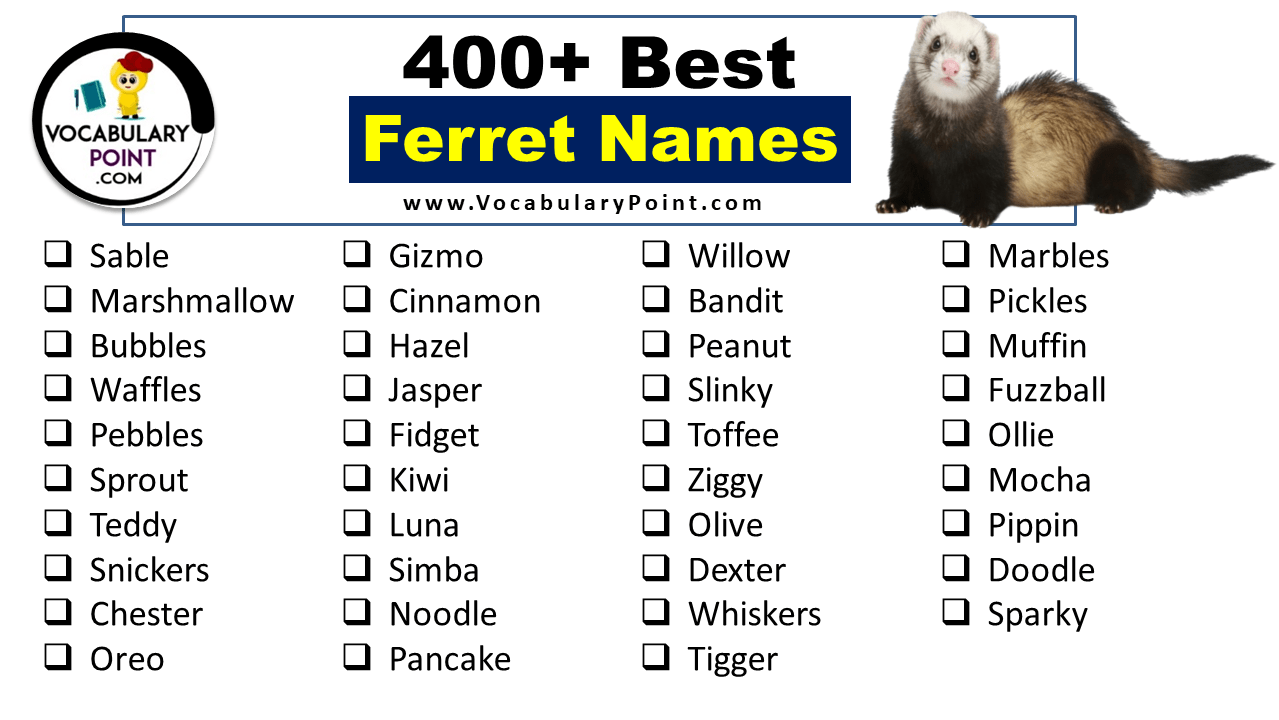 450+ Best Ferret Names (Cute, Cool and Pet) Vocabulary Point