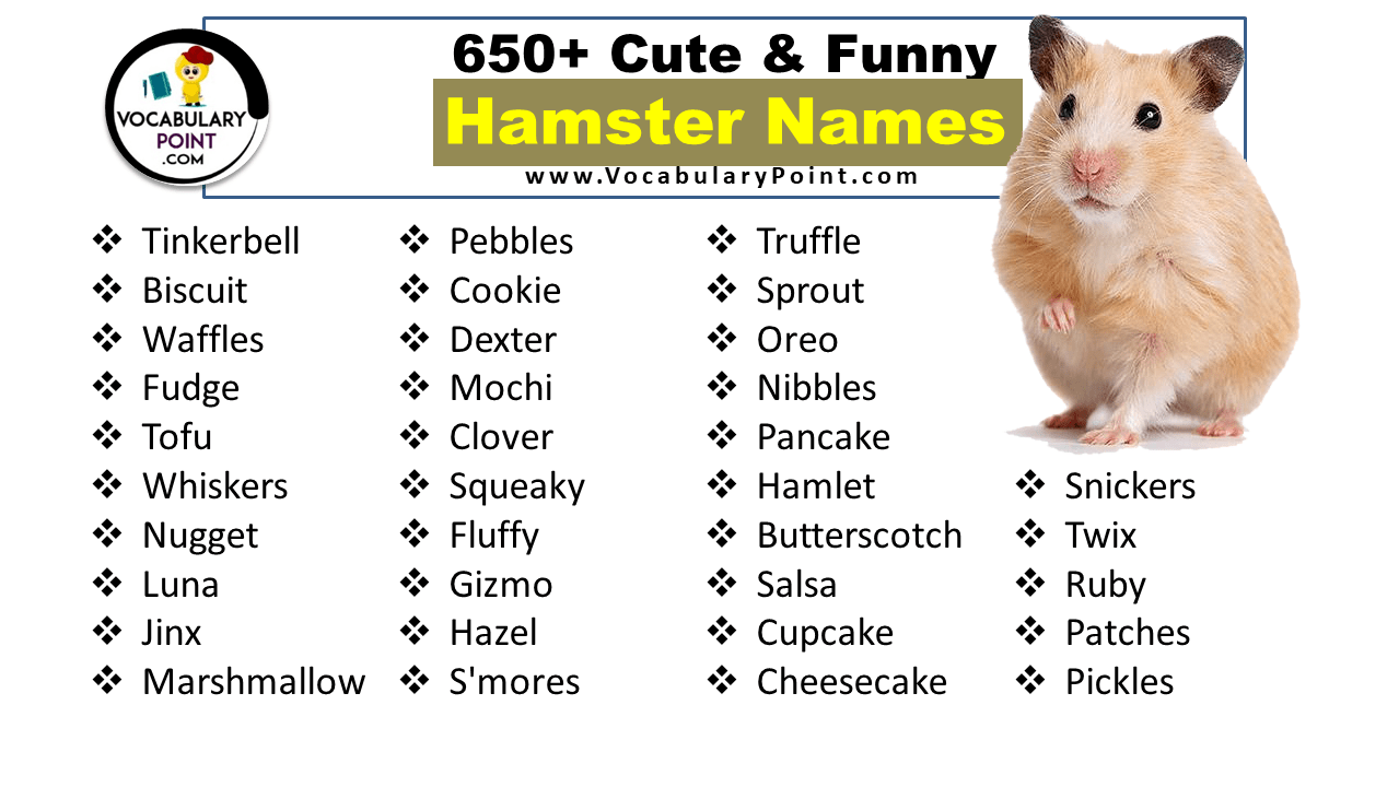 650+ Hamster Names (Cute, Funny, Boy & Girl) Vocabulary Point