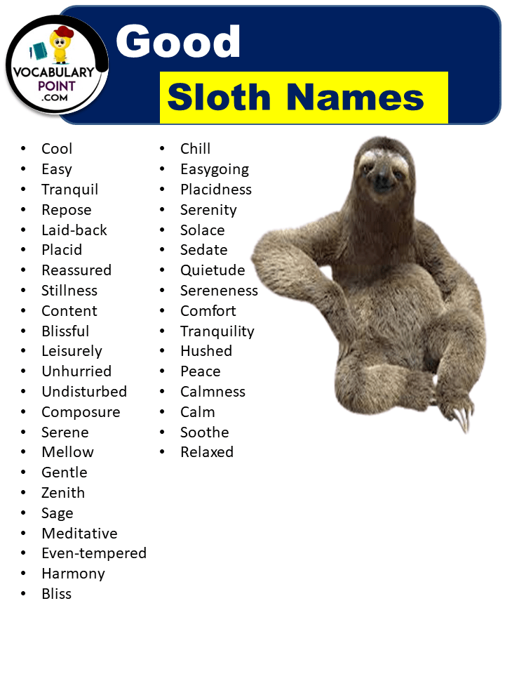 Best Sloth Names (Cute, Funny, Male & Female) Vocabulary Point