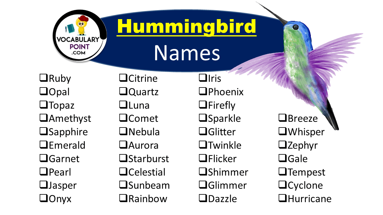 Hummingbird Names (Cute, Funny & Pet Name Ideas) Vocabulary Point