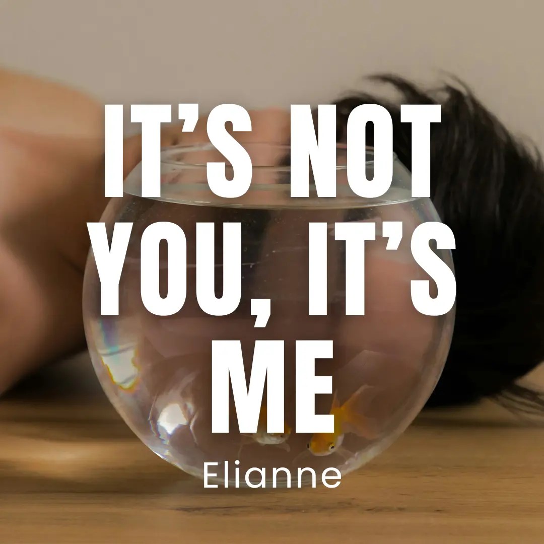 It’s Not You, It’s Me Vocalfy