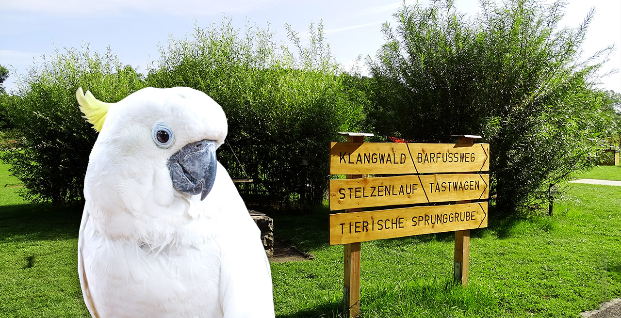 Home Vogelpark Schotten
