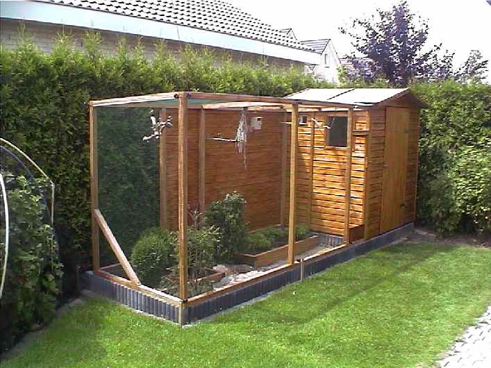 Eigen vogels
