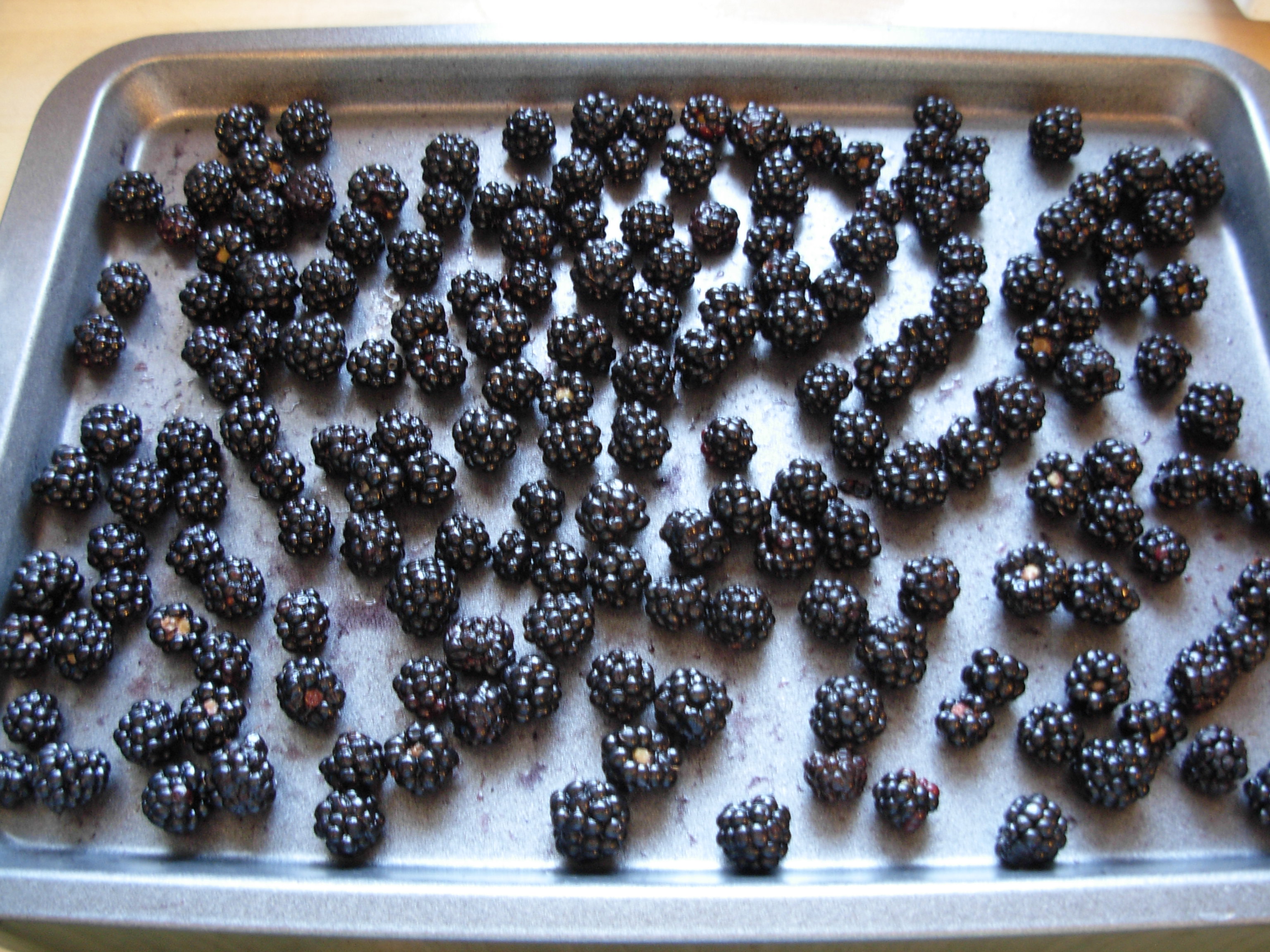 Bored with brambles? Vohn’s Vittles