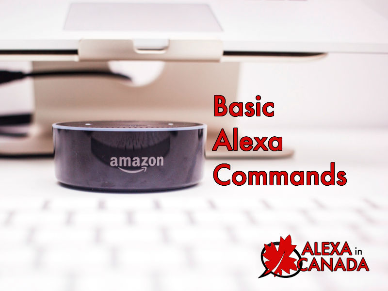 Alexa Commands The Complete List Voice in Canada