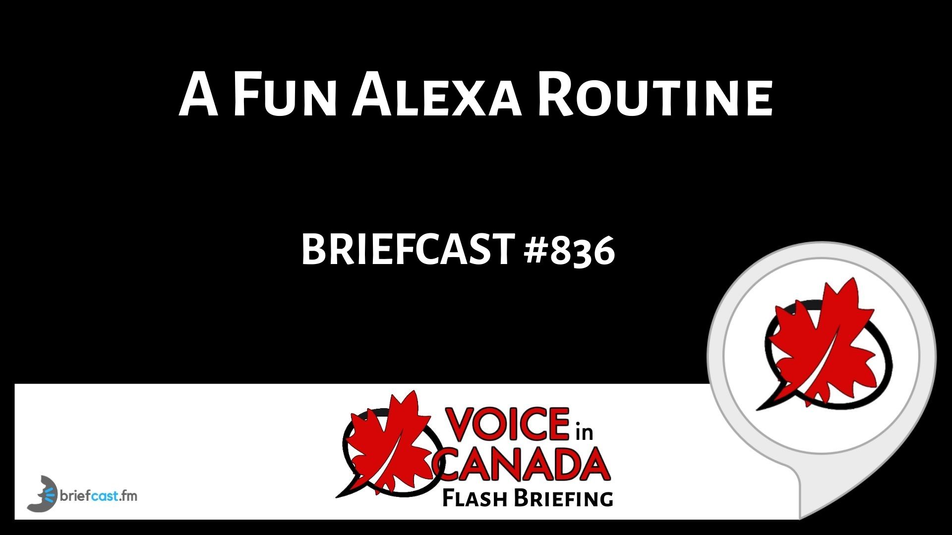 A Fun Alexa Routine - Voice in Canada