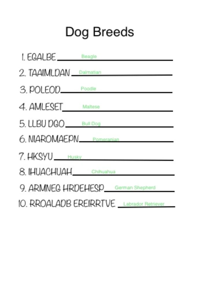 Dog Breed Word Scramble Voice of Frisco