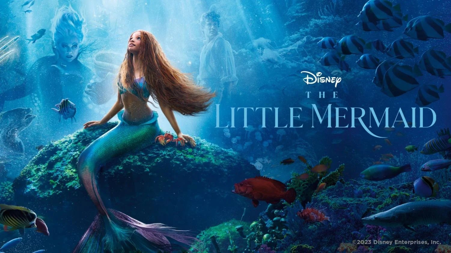 The Little Mermaid A Superficial Approach to Genuine Representation