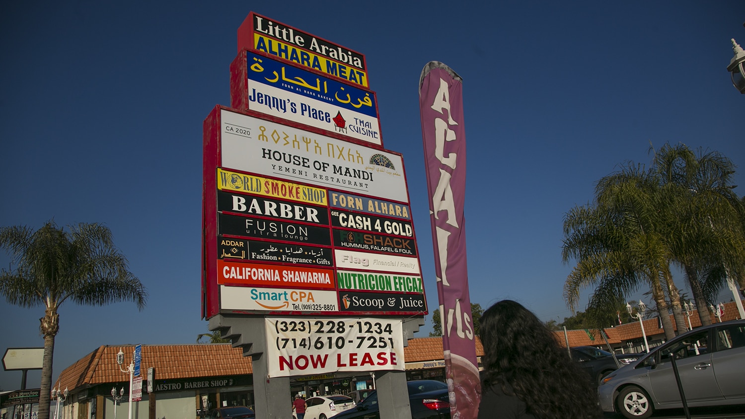 Will Anaheim Officially Recognize Little Arabia District as Part of