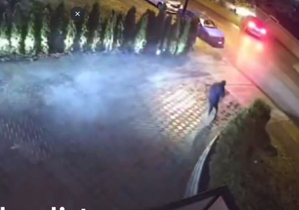 Four seriously injured in shooting in White Rock (photos and video) IndoCanadian Voice