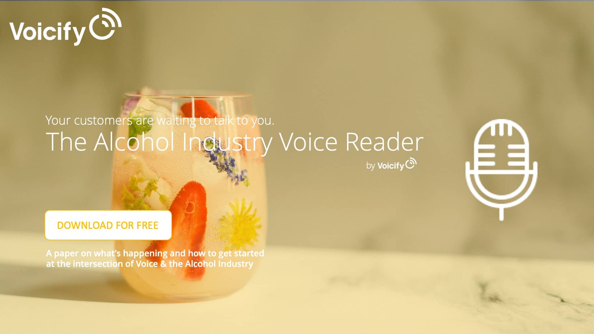 Alcoholic Beverages Voice Applications & Assistant Reader Voicify