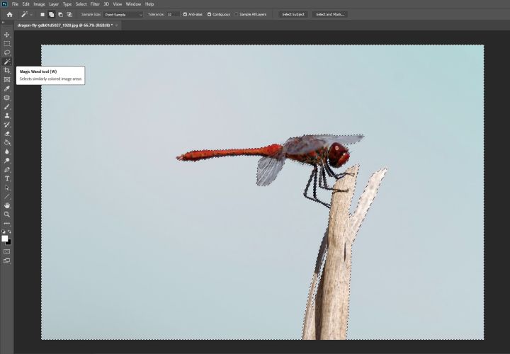How to Use the Magic Wand Tool in Void Graphics