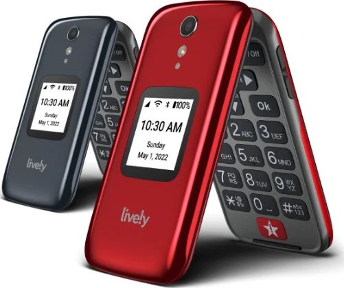 What Are The Best Minimalist Phones In 2024 Vokeme