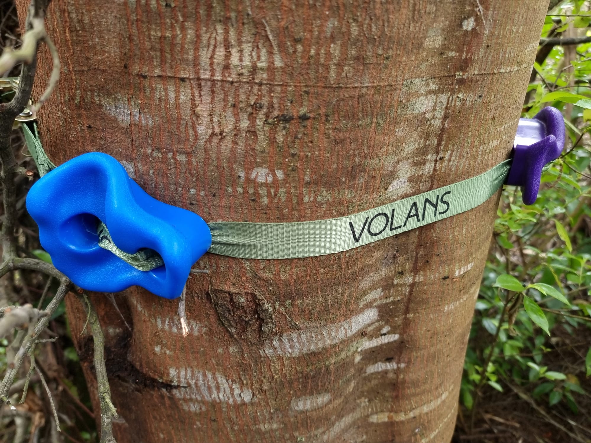 Tree climbing holds VOLANS