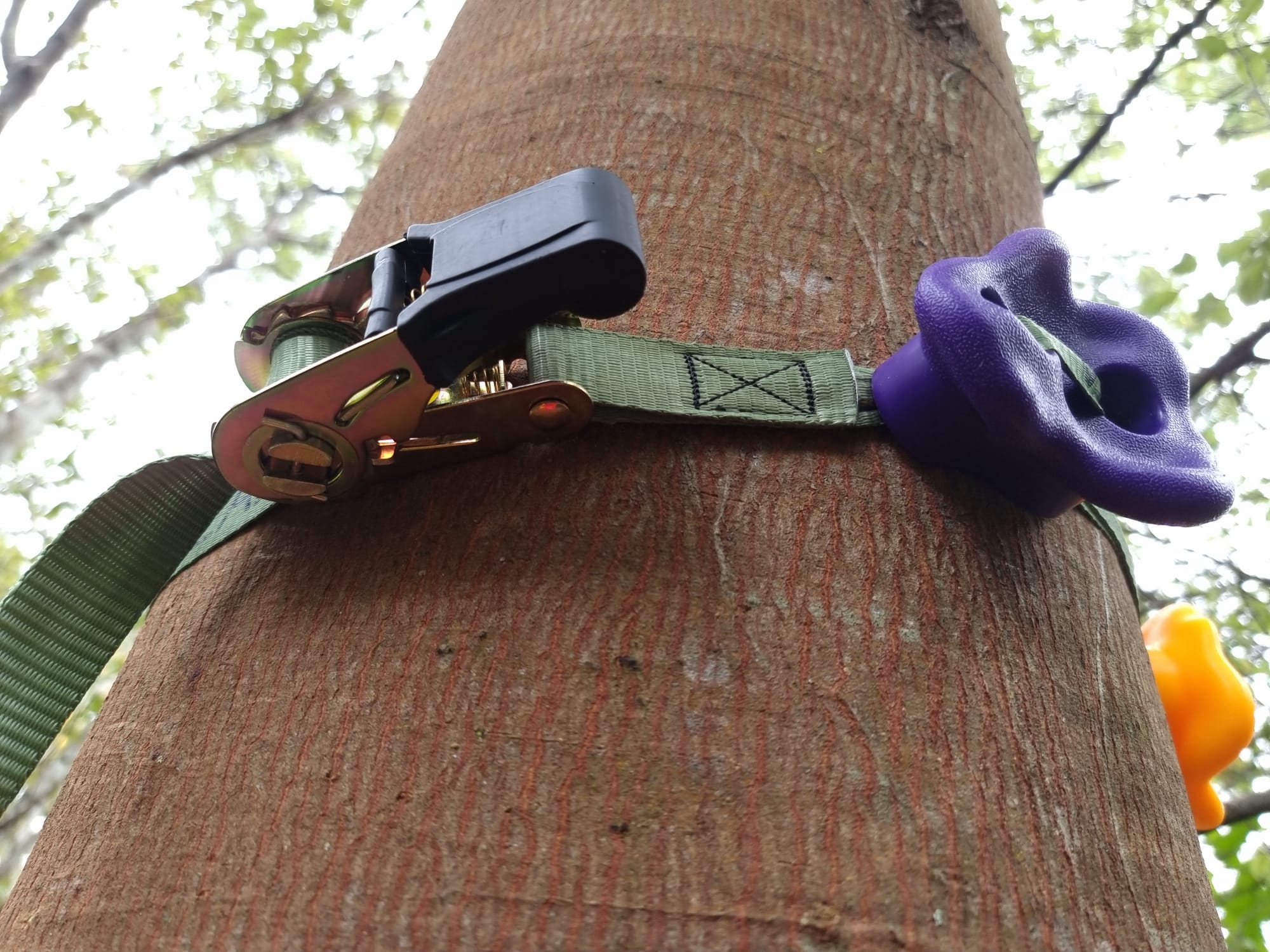 Tree climbing holds VOLANS