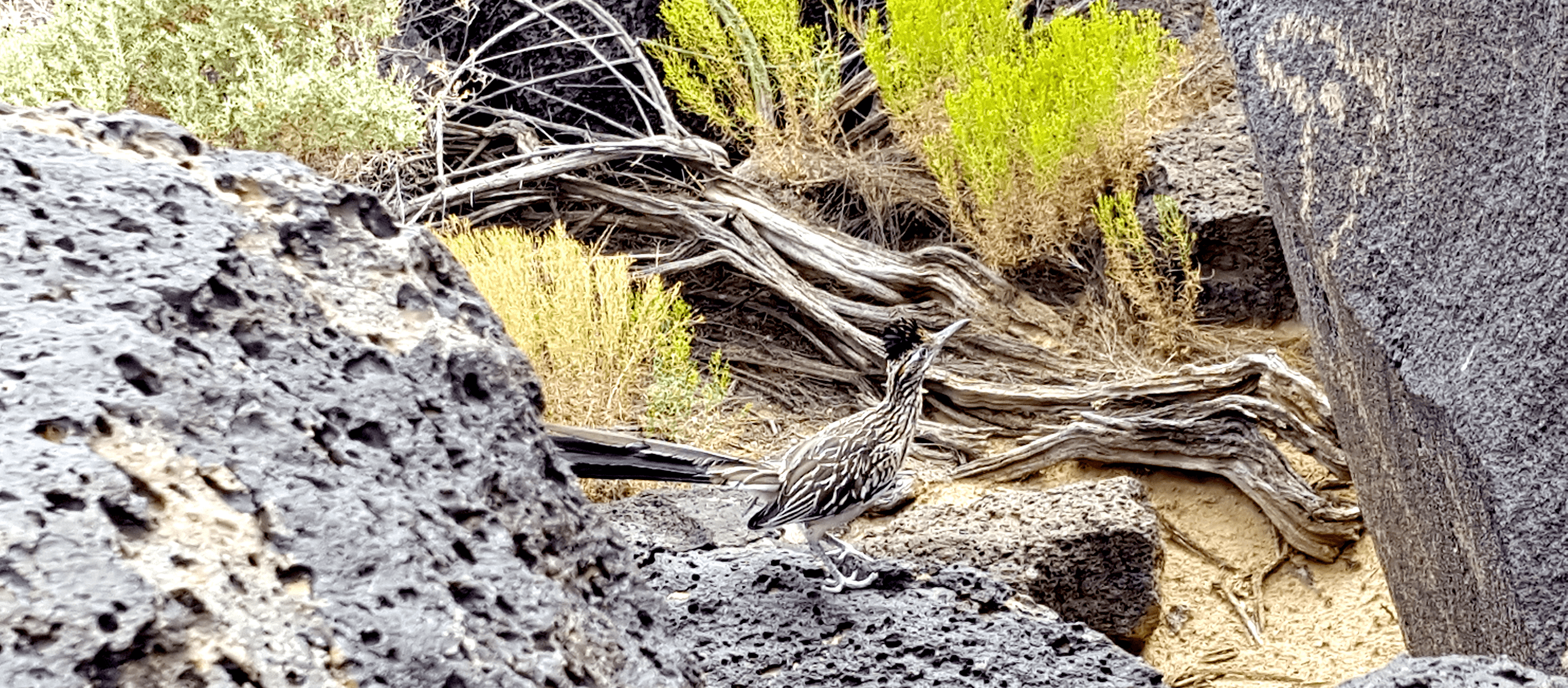 Volcano Cliffs FREE Market Analysis & FREE Property Search