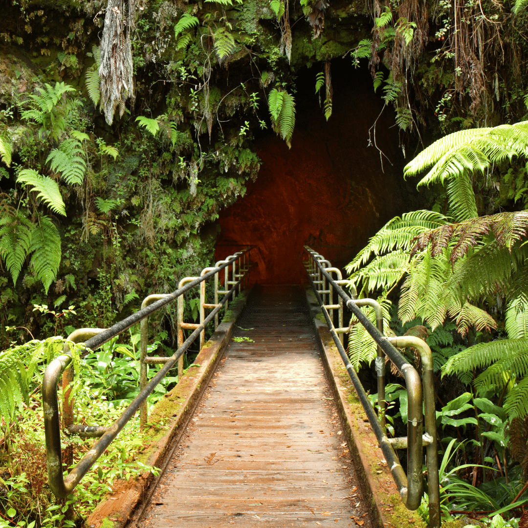 Explore the Newly Reopened Thurston Lava Tube Volcano Heritage Cottages