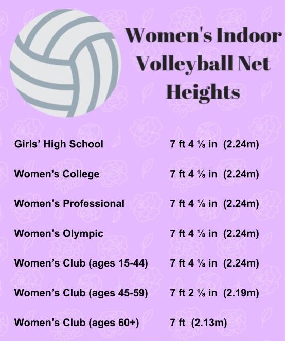 Collection 32+ Stock Photos how tall is a female volleyball net Superb