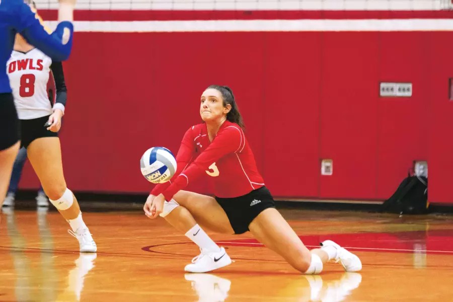 What Is A Dig In Volleyball? The Digging Debate Volleyball Blaze