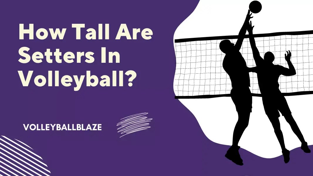 How Tall Are Setters In Volleyball? Height Requirements Volleyball Blaze