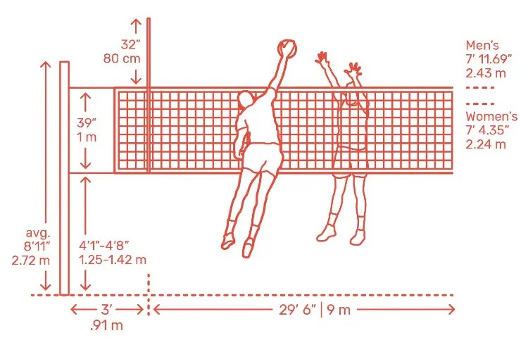 Rising Above The Measure of Volleyball Net Height
