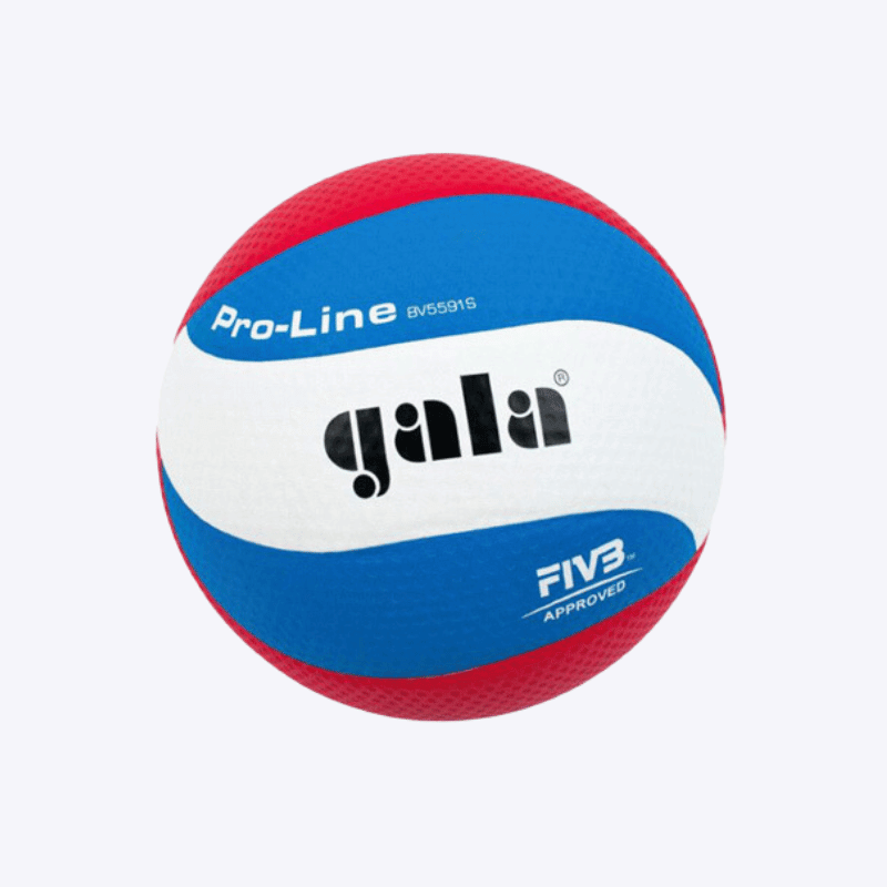 The 6 Best Volleyballs In 2023 (Professional Opinion / Tested