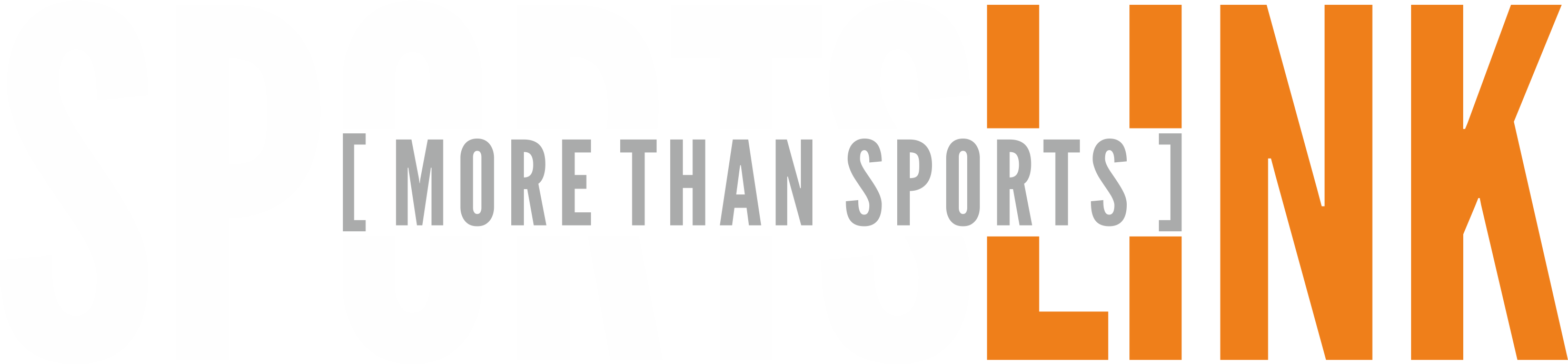 Sportslink Volleylink