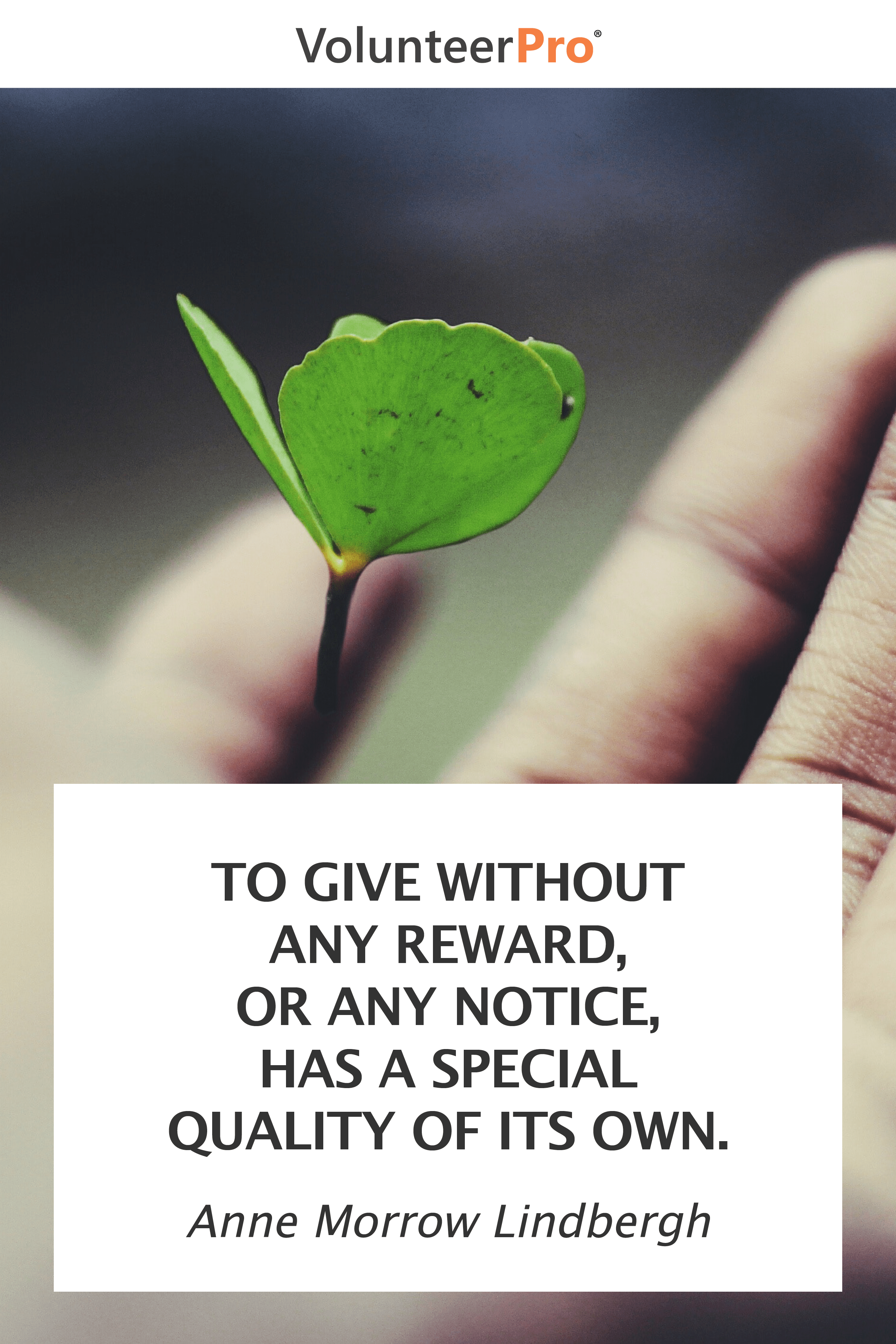 appreciation quotes13 VolunteerPro
