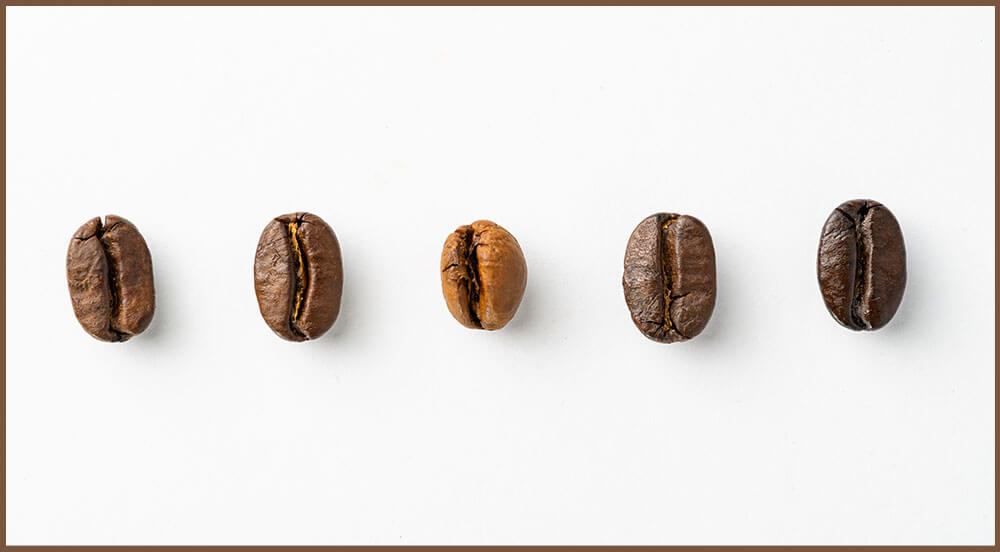 Robusta Coffee Beans & What to Know