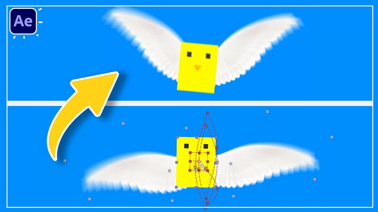 Wing Animation in After Effects Tutorials CG Animation Tutorials