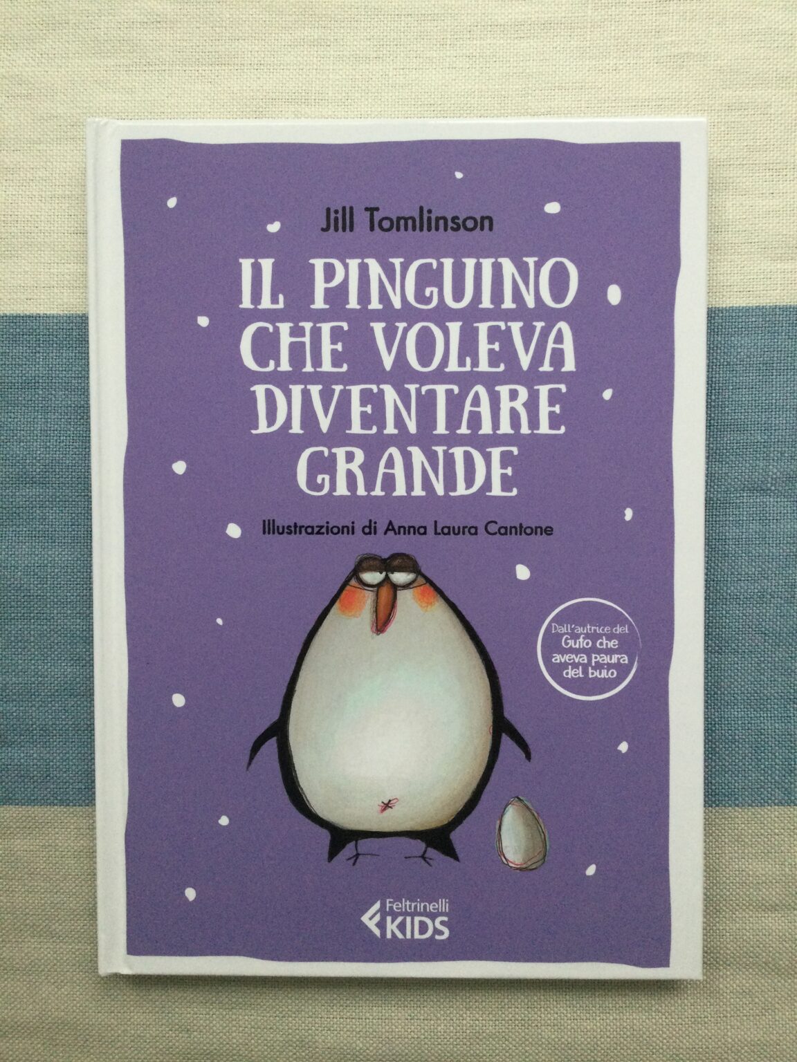 Il pinguino che voleva diventare grande Hardcover