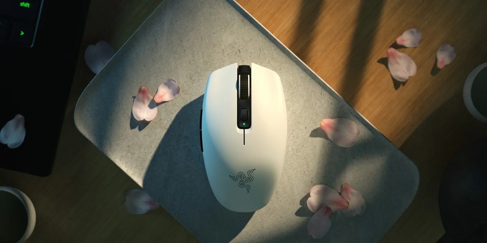 The 6 Best Mice for Fingertip Grips in 2022 Voltcave