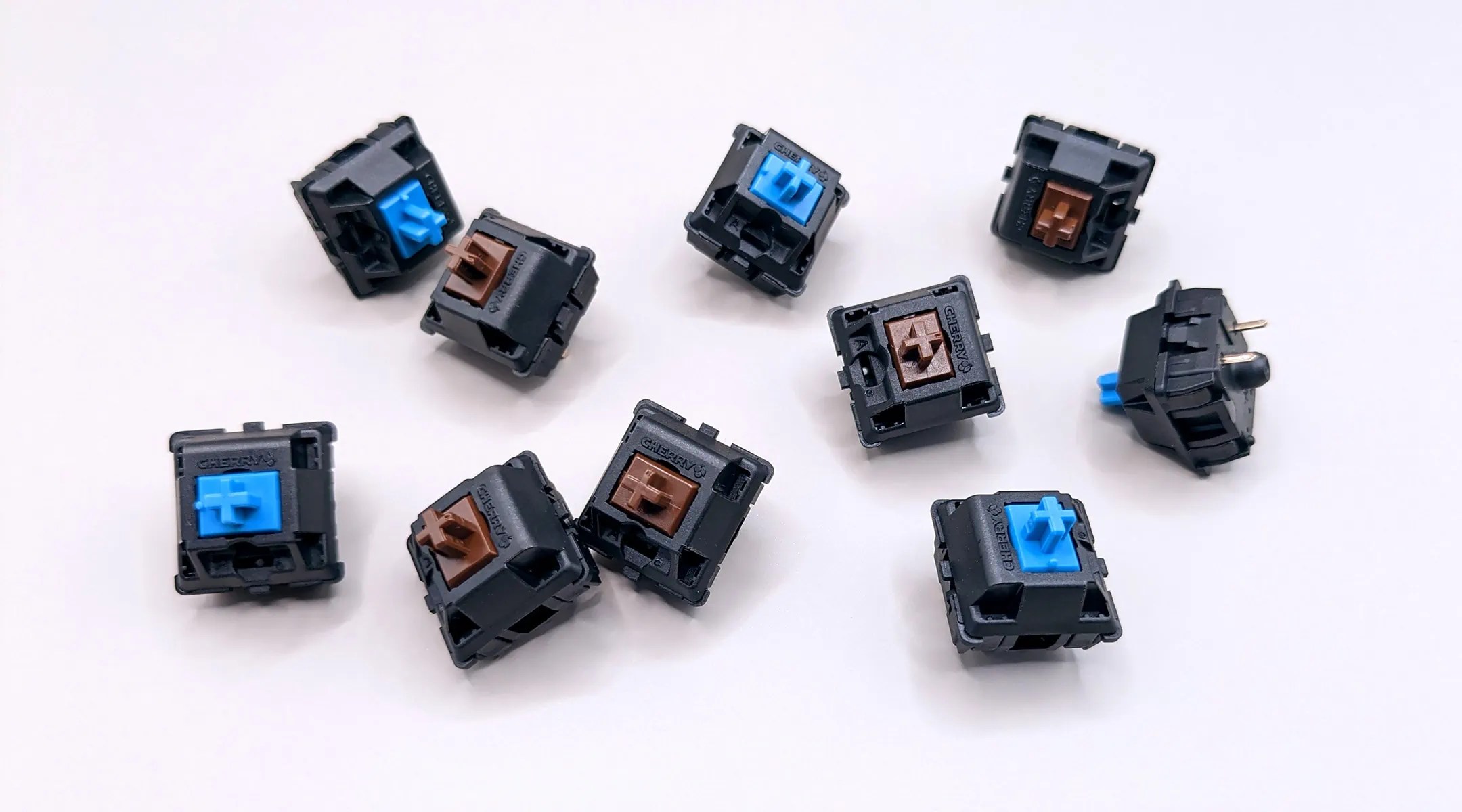 Brown vs. Blue Switches Should You Go Tactile or Clicky?