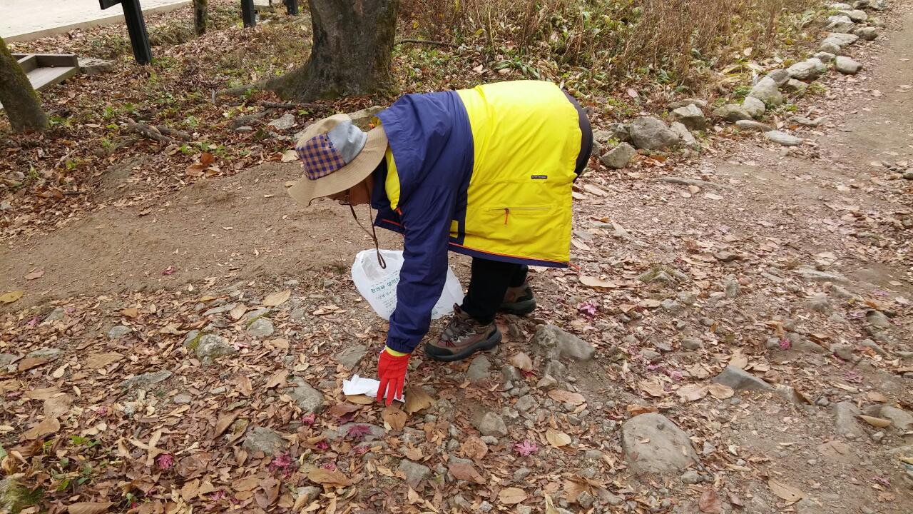 국립공원자원봉사