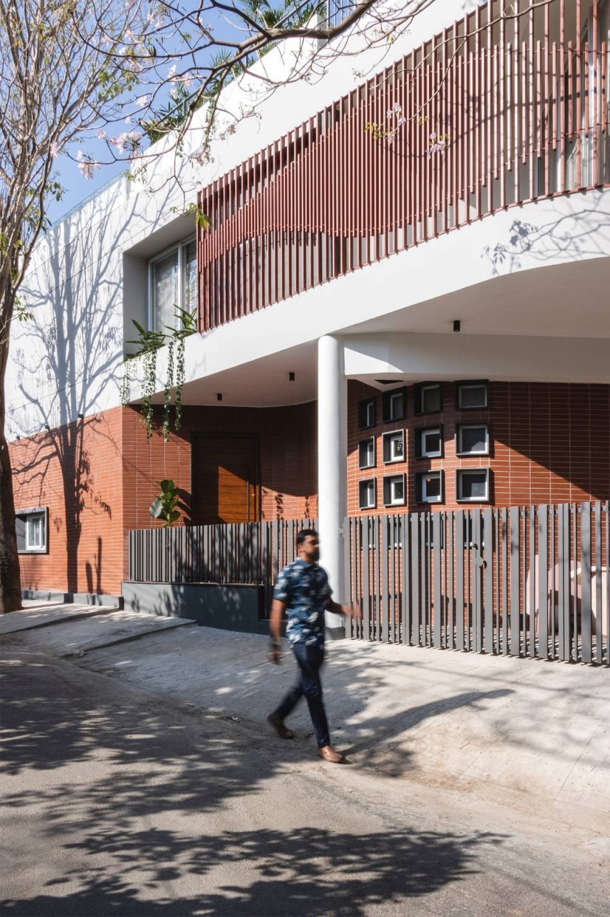 House Under Tabebuia Trees by Cantilever Architects