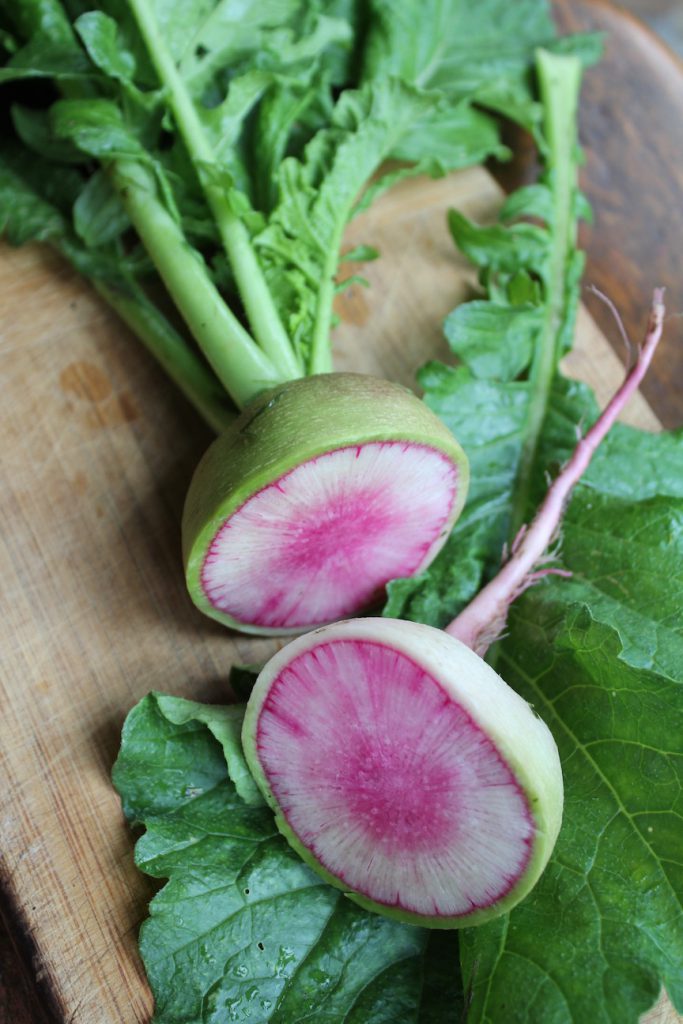 Winter radishes international veg of mystery