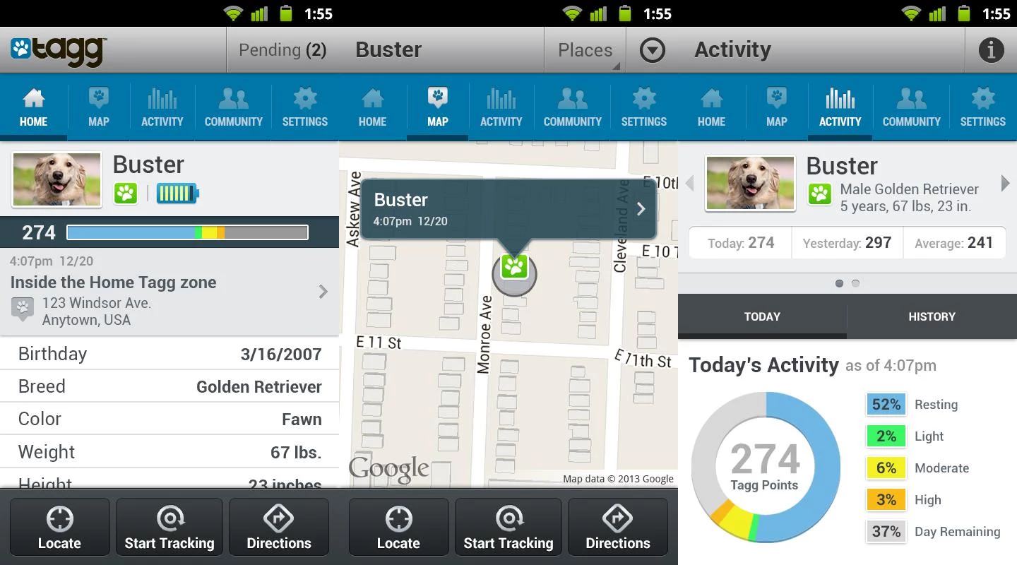 site For Pet Owners Crossword at Nancy Jerome blog