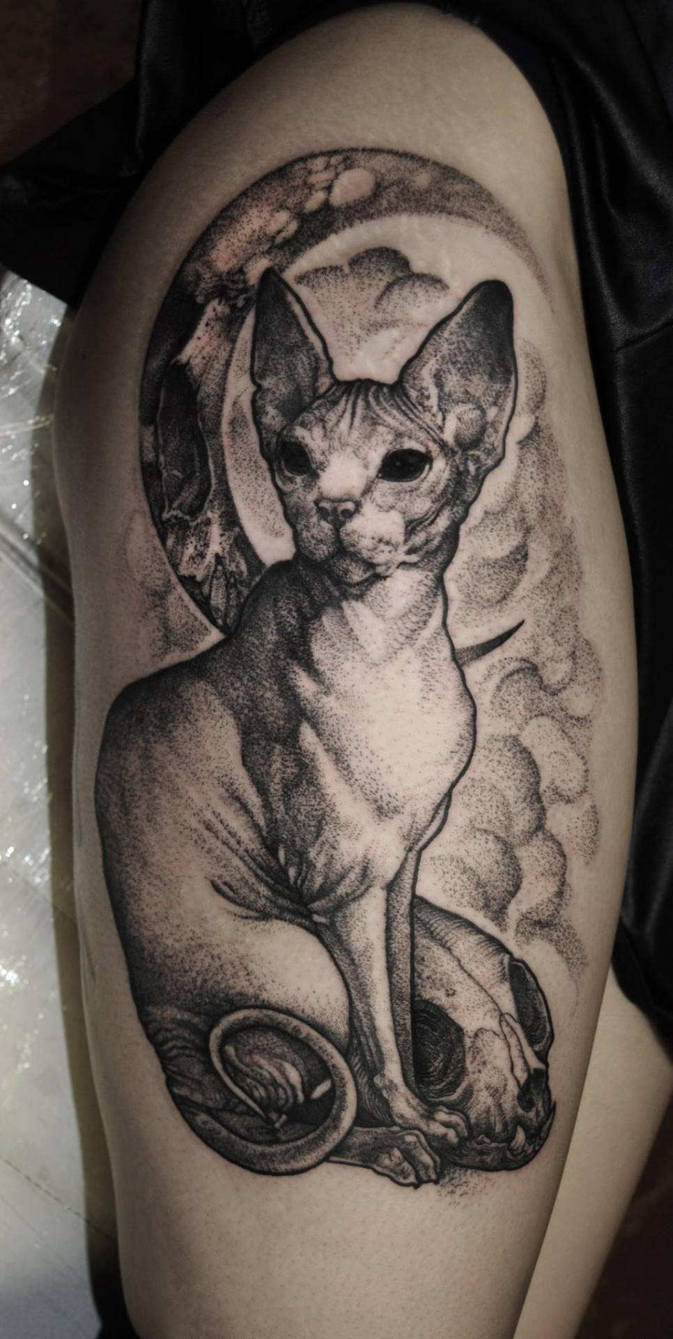 22 Cat Tattoos for Crazy Cat People 17 is a Beauty!
