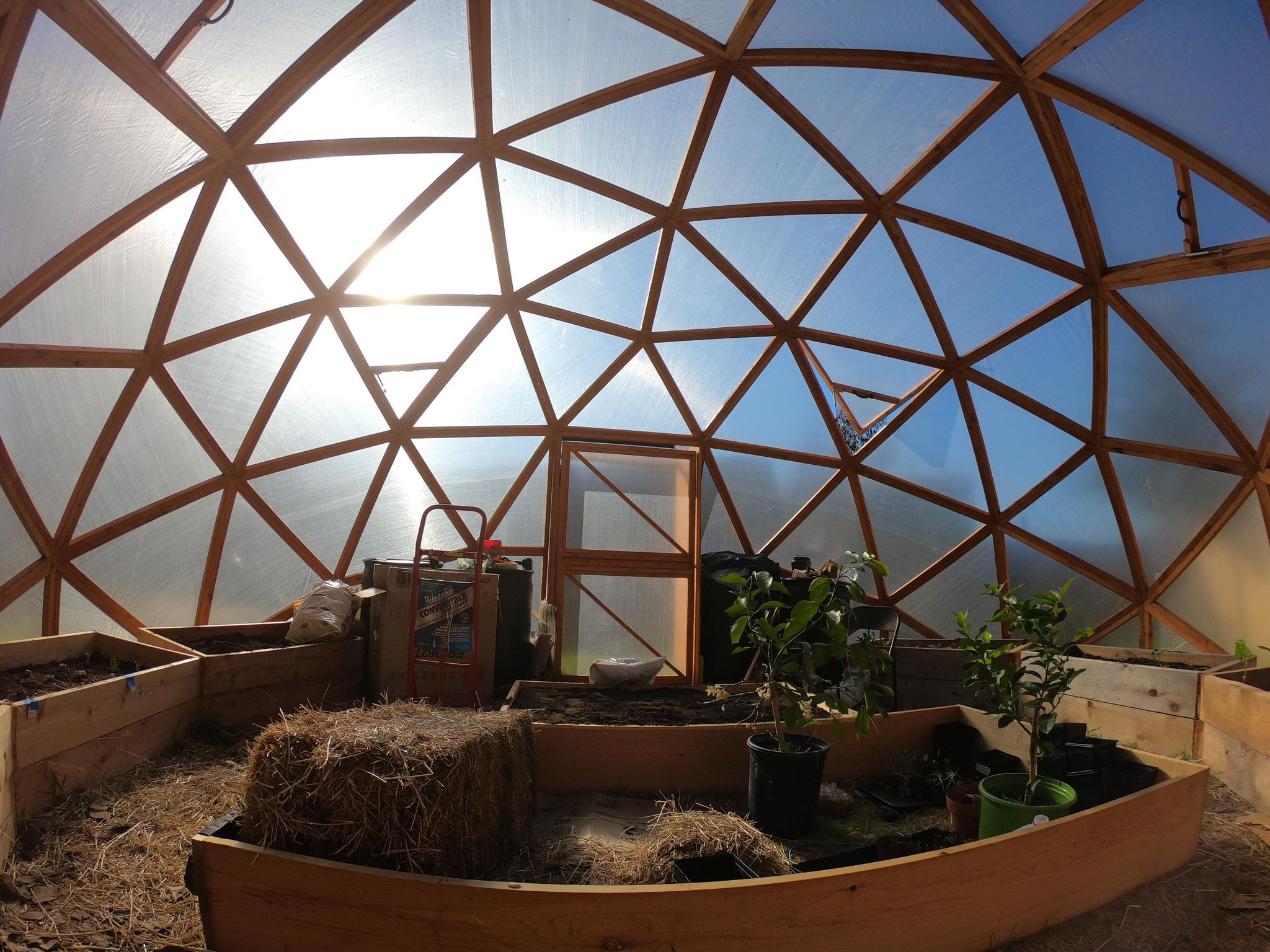 How To Build DIY Geodesic Dome Houses Pro Explains Steps To Get One?