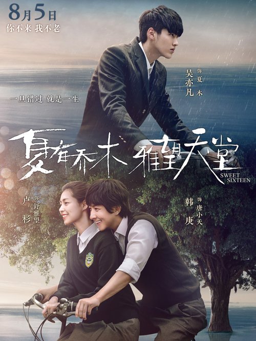 夏有乔木 雅望天堂电影高清在线观看百度视频