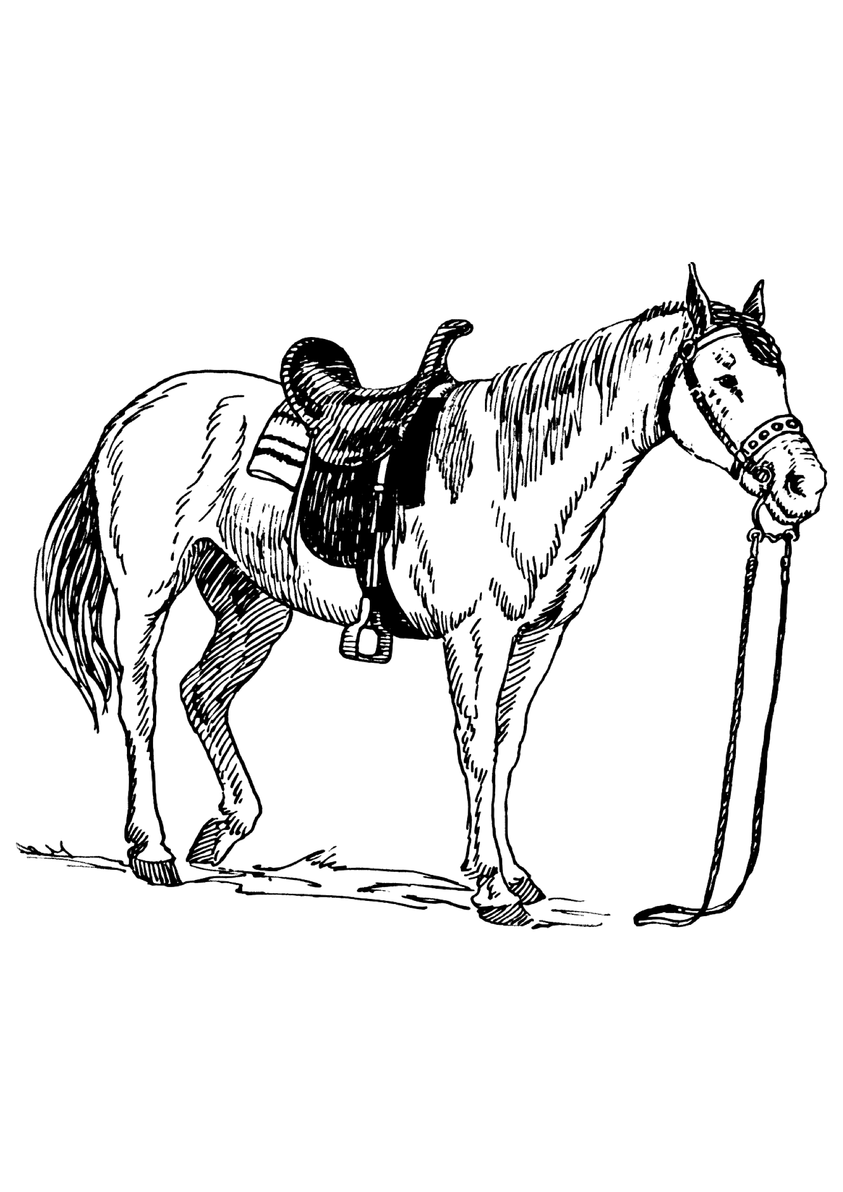 23+ Ausmalbilder Schleich Pferde