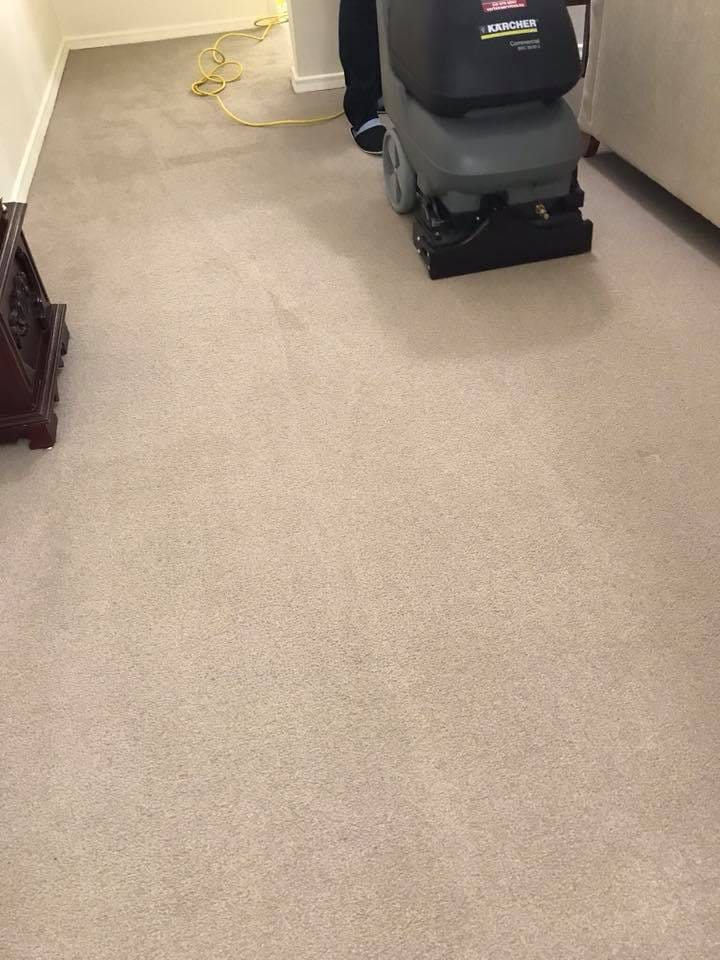 Carpet Cleaning London Ontario Vortex Services