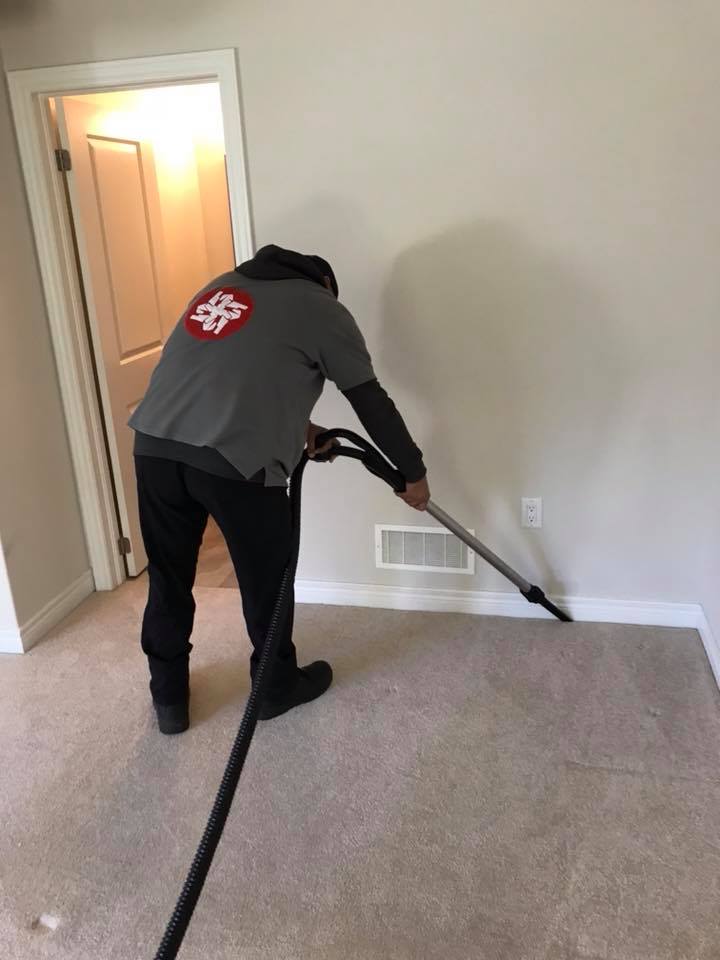 Carpet Cleaning London Ontario Vortex Services