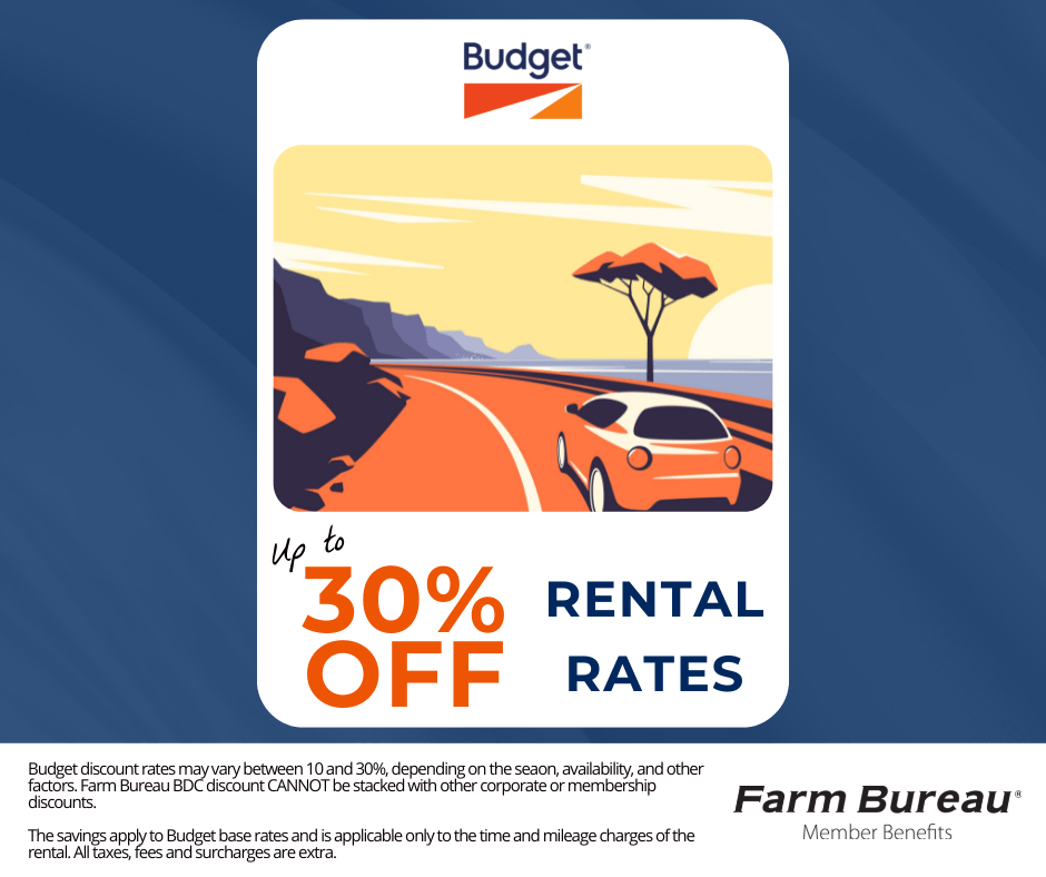 Budget Car Rental Destination Discount City