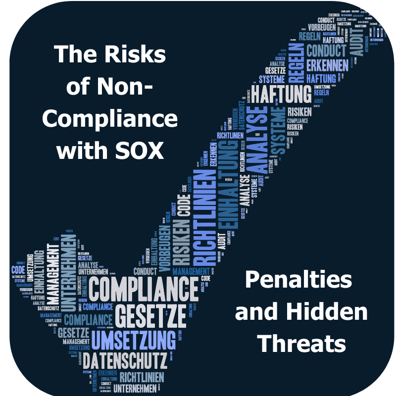 The Risks of with SOX Financial Services Votiro